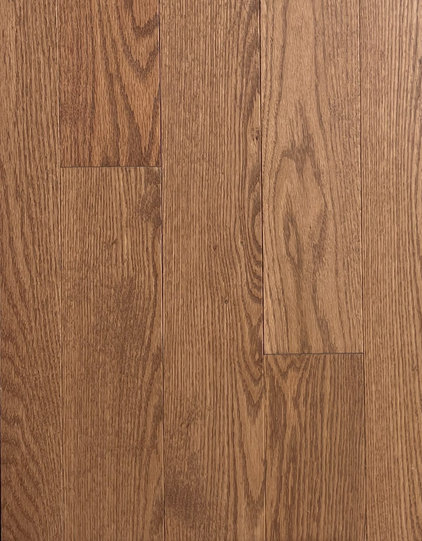 Red oak Juno